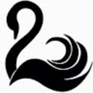 Meet your Posher, Ilinca